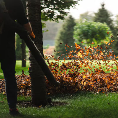 Garden Cleaning